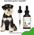 Pet Wellbeing Nettle-Eyebright Gold for Dogs - Natural Herbal Supplement for Allergies, 2 oz