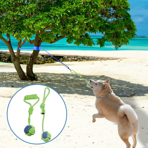Outdoor Hanging Bungee Dog Toy - Interactive Tug Toy with 2 Chew Rope Toys for Small to Large Dogs, Best for Tug of War