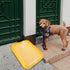 ULTECHNOVO Dog Litter Box Mesh Training Toilet Potty Tray for Puppy and Small Size Dog Indoor Dogs Potty Training Pads