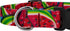 Country Brook Petz Deluxe Summer Melon Dog Collar, Tasty Collection (1/2 Inch, 2XS)
