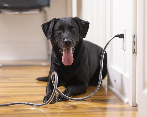 PetCords Dog and Cat Cord Protector 10 FT, Insulated Cables Safety Device, Made in The USA