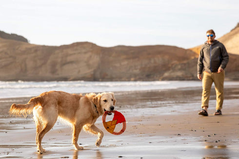 Ruffwear Pacific Ring Dog Toy, Interactive Fetch and Tug Toy, Sockeye Red for Playing and Training