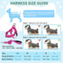 SlowTon No Pull Small Dog Harness and Leash Set, Puppy Soft Vest Harness, Reflective Lightweight Combo for Small Dogs