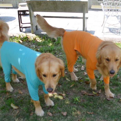 Lovelonglong Four Feet Dog Lightweight Pajamas, Pure Cotton Dog Jumpsuits for Large Medium Small Dogs (Orange XS)