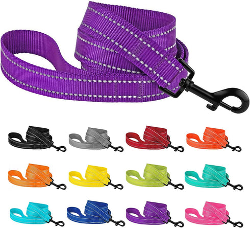 CollarDirect Nylon Dog Leash 5ft, Heavy Duty Reflective Pet Leashes for Large, Medium & Small Dogs (L, Purple)