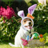 XunYee 8 Pcs Dog Headbands with Bunny Ears, Cute Carrot Rabbit Ears for Dogs, Adjustable Pet Accessories.