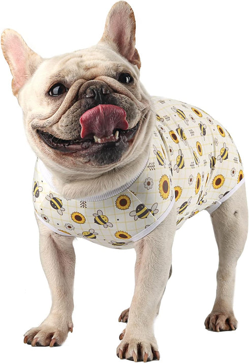 Dog Surgery Suit for Female - Spay Recovery Suit for Dogs - Neuter Recovery Suit for Male Dogs - Fits Small Medium Dog