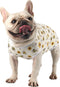Dog Surgery Suit for Female - Spay Recovery Suit for Dogs - Neuter Recovery Suit for Male Dogs - Fits Small Medium Dog