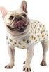 Dog Surgery Suit for Female - Spay Recovery Suit for Dogs - Neuter Recovery Suit for Male Dogs - Fits Small Medium Dog