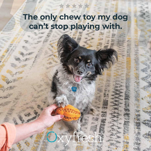 Oxyfresh Dog Dental Toy - Durable Rubber Chew Toy for Aggressive Chewers - Cleans Teeth & Freshens Breath (Large)