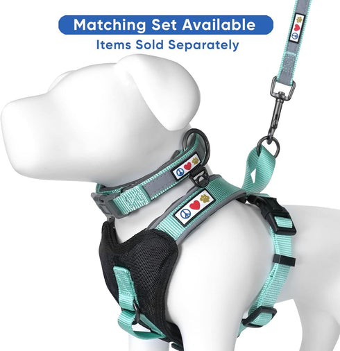 Pawtitas Lumberjack Padded Martingale Collar for Dogs, Soft Neoprene, Reflective Band, Medium Teal, Fits Small and