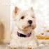 Martingale Reflective Nylon Dog Collar with Quick Release Buckle, Adjustable Training No Slip Collar, Large, Cherry Pink