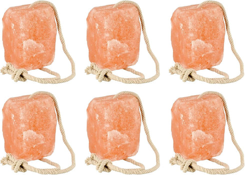 Generic Himalayan Salt Block 6 Pack - 6 lbs Each. Himalayan Salt Lick