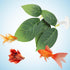 3 Pcs Betta Fish Leaf Pad Aquarium Décor, Simulating Natural Habitat for Spawning Grounds and Resting Bed.