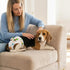 HGJLM 3 Reusable Dog Diapers Female Washable Premium Doggie Diaper for Dogs Paired with Disposable Urine Pads Highly