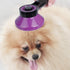 NPET Dog Brush, Self Cleaning Slicker Brush for Cats and Dogs, Gently Removes Loose Undercoat, Mats Tangled Hairs Dog