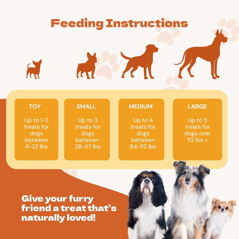 '-12oz -1 Pack Jacks Favorite Crafted Jerky Chicken Breast - Premium Natural Chicken Jerky for Dogs - High Protein
