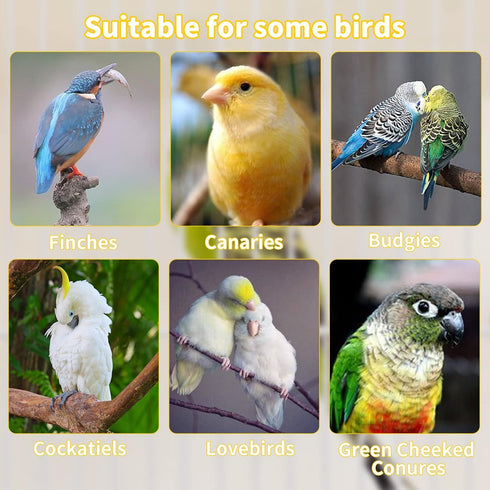 Hamiledyi Bird Perch for Cage, 5 Piece Set Natural Wood Perch for Small and Medium Birds