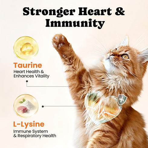 12 5 Immune, 450 Cat Vitamin Treats with L-Lysine & Taurine Essential Vitamins & Minerals, Cat Multivitamin Supplement