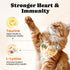 12 5 Immune, 450 Cat Vitamin Treats with L-Lysine & Taurine Essential Vitamins & Minerals, Cat Multivitamin Supplement