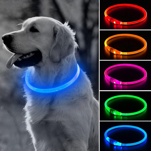 BSEEN Blue Light Up Dog Collar - 360° Visible Rainproof LED Rechargeable for Small Medium Large Dogs