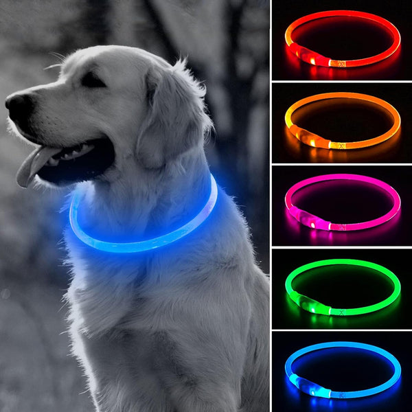 BSEEN Blue Light Up Dog Collar - 360° Visible Rainproof LED Rechargeable for Small Medium Large Dogs