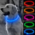 BSEEN Blue Light Up Dog Collar - 360° Visible Rainproof LED Rechargeable for Small Medium Large Dogs