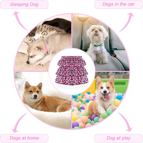 Cathy Doll 3 Pack Premium Reusable Washable Dog Diapers for Female Dogs in Heat Period Incontinence Puppy Training