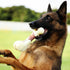 Tikaton Dog Chew Toys for Aggressive Chewers, Durable Beef Flavor Teething Bones for All Puppies