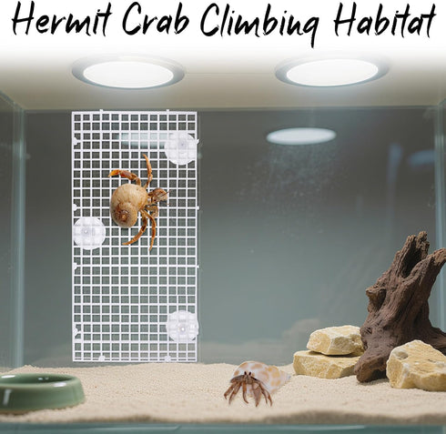 Hermit Crab Climbing Ladder & Wall Decor for Aquariums
