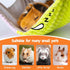 3 1 Hammock Hammock BESNEW in Enlarged Guinea Pig with House & Platform,Wooden Guinea Pig Hideout with & Stairs Small