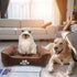 Long Rich Reversible Rectangle Pet Bed with Dog Paw Printing, Medium, New Coffee by Happycare Textiles