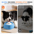 LeczRcie Slow Feeder Dog Bowls for Liquid Tread,Dog Lick Bowl for Bone BrothYogurtand Wet Dog FoodDog Licking Toy