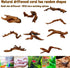 Hamiledyi Natural Coral Driftwood, Assorted Branches for Fish Tank Decor, 5 Pcs (3.5-7in) for Reptile Tanks