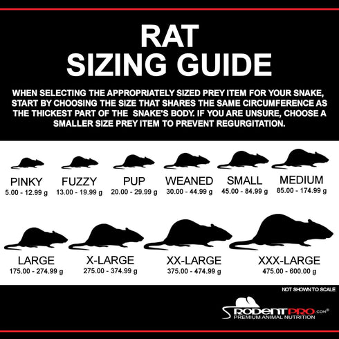 Rodentpro.com Frozen (3 Count) RodentPro Reptile Feeder Extra-Large Rats