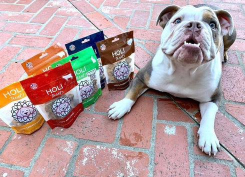 HOLI Freeze Dried Liver Treats for Dogs - All Natural Healthy Beef Liver, 100% Made in USA, Grain Free