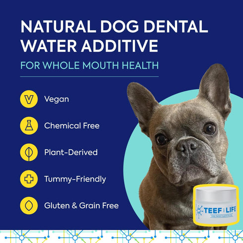 Packets Protektin42 1 Packet 30 TEEF FOR LIFE Refill Prebiotic Dental Powder for Dogs, Plant-derived, clinically-Proven