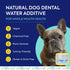 Packets Protektin42 1 Packet 30 TEEF FOR LIFE Refill Prebiotic Dental Powder for Dogs, Plant-derived, clinically-Proven