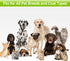 Pet Grooming Brush, 5 in 1 Double Sided Detachable Brush for Shedding Long & Short Haired Dogs, Reduces 95% Shedding