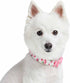 Cherry Garden Dog Collar with Dainty Flowers for Pets