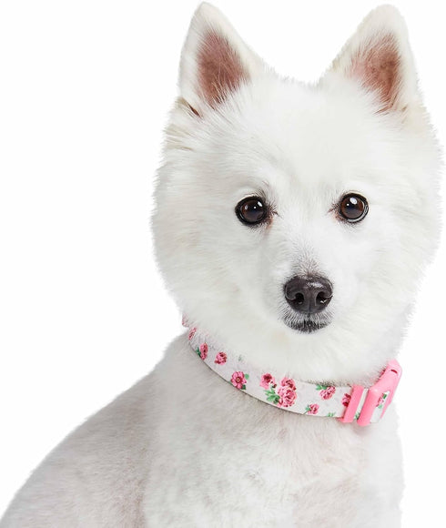 Cherry Garden Dog Collar with Dainty Flowers