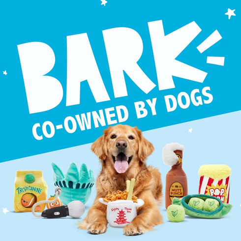 2 1 Barkbox Dog Toy in Interactive, Plush Exterior with Squeaker & Crinkle Material, Tearable Dog Toy with Squeaky