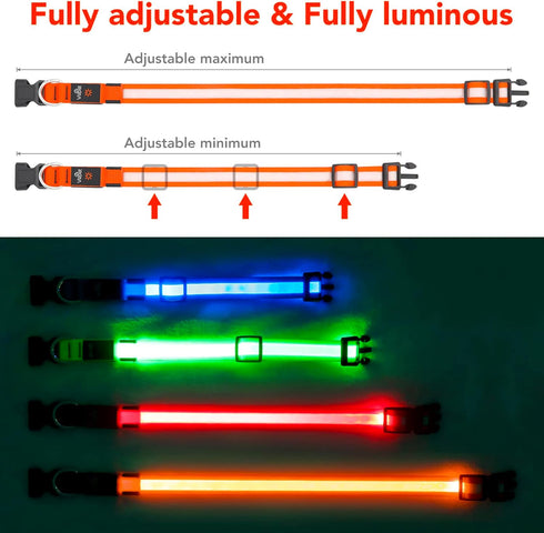 LED Dog Collar, Light Up Adjustable USB Rechargeable Safety Collar for Small Dogs (Small, Orange)