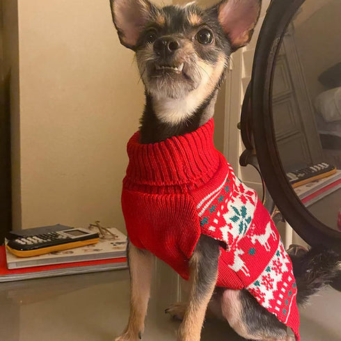 KYEESE Christmas Dog Sweater for Small Dogs - Snowflake Reindeer Design with Leash Hole, Ugly Holiday Sweater, M