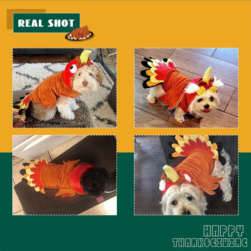 BWOGUE Turkey Dog Costume - Thanksgiving Apparel for Dogs and Cats