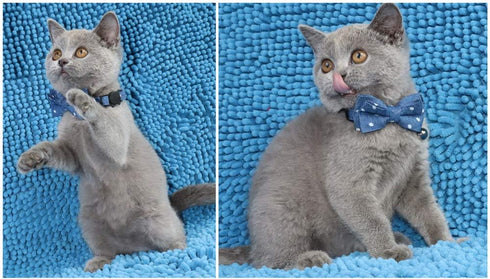THAIN Breakaway Cat Collar with Bell and Bow Tie, Adjustable Denim Dots Safety Buckle with Name Tag for Kittens