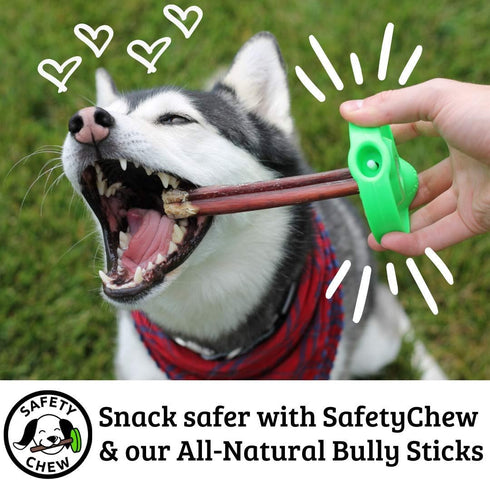 SafetyChew Starter Pack | Bully Stick Holder | All-Natural Free-Range Dog Chews Made in USA