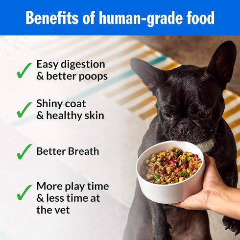 2lbs PetPlate Trail Blazin' Beef FreshBaked Dry Dog Food Grain-Inclusive, Gently Baked and Air-Dried Human Grade Dog
