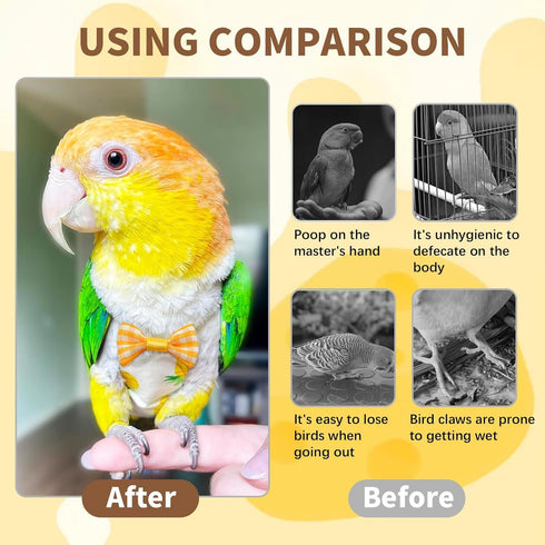 AQOYNQ 6 PCS Bird Diaper, Parrot Diaper Flight Suit, Cute Pigeon Pants, Waterproof Inner, Reusable, Suitable