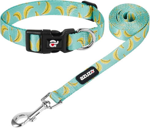 azuza Dog Collar and Leash Set - Cute Patterns on Nylon Collar and Matching Leash for Medium Dogs